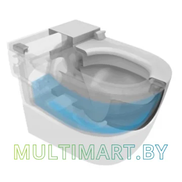 Унитаз Roca In-Tank N-Merdian 893303000 картинка 3